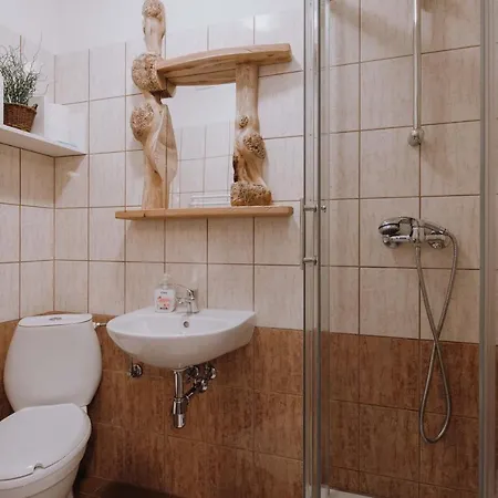 Ubytování v soukromí Goscinne Borowy *