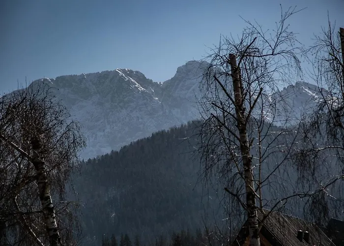 Goscinne Borowy Alloggio in famiglia